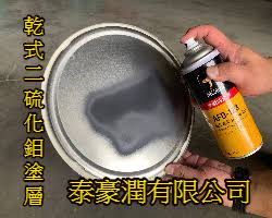  乾式二硫化鉬塗層