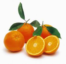  柑橘 